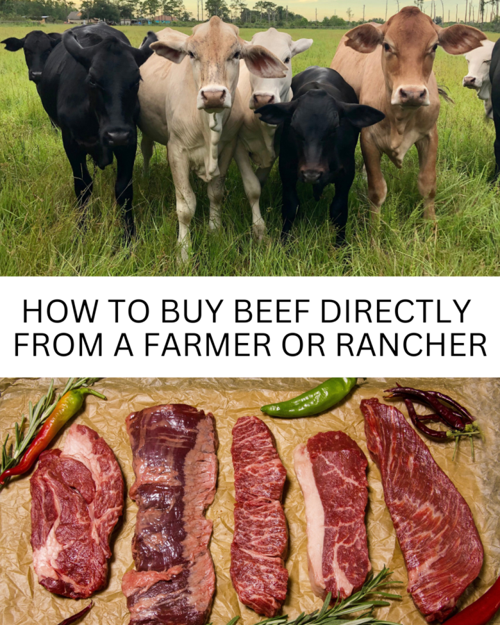 how to buy beef directly from a farmer or rancher photos of cows and different cuts of meat